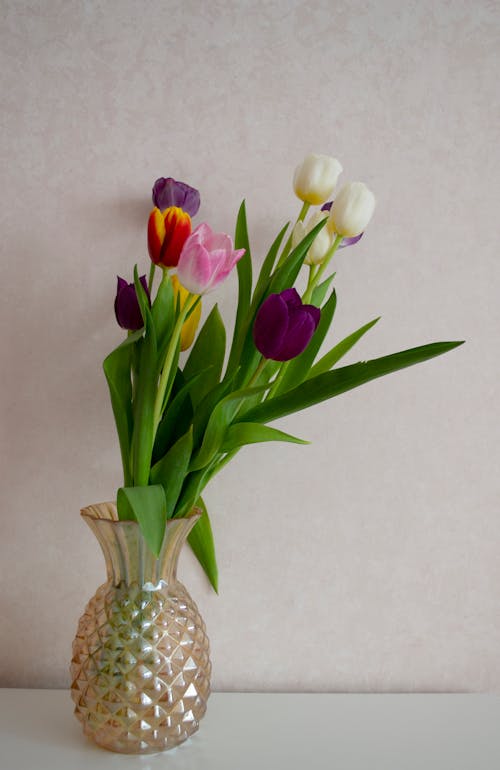 免費 垂直拍攝, 花, 花瓶 的 免費圖庫相片 圖庫相片