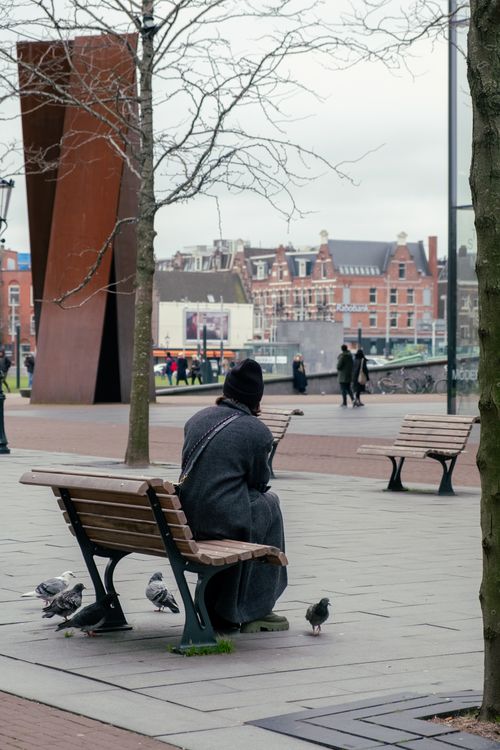 Free Back view of a woman sitting in a city park, surrounded by pigeons on a cloudy day. Stock Photo