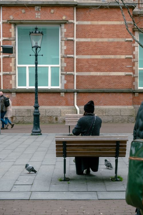 Free A lone person sits on a bench observing pigeons near a brick building in the city. Stock Photo