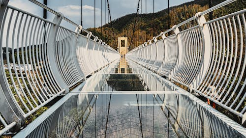 Kostnadsfri bild av bergen, gångbro, gångbroar