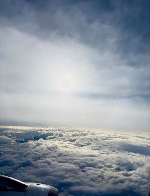 Foto d'estoc gratuïta de avió, blanc, blau