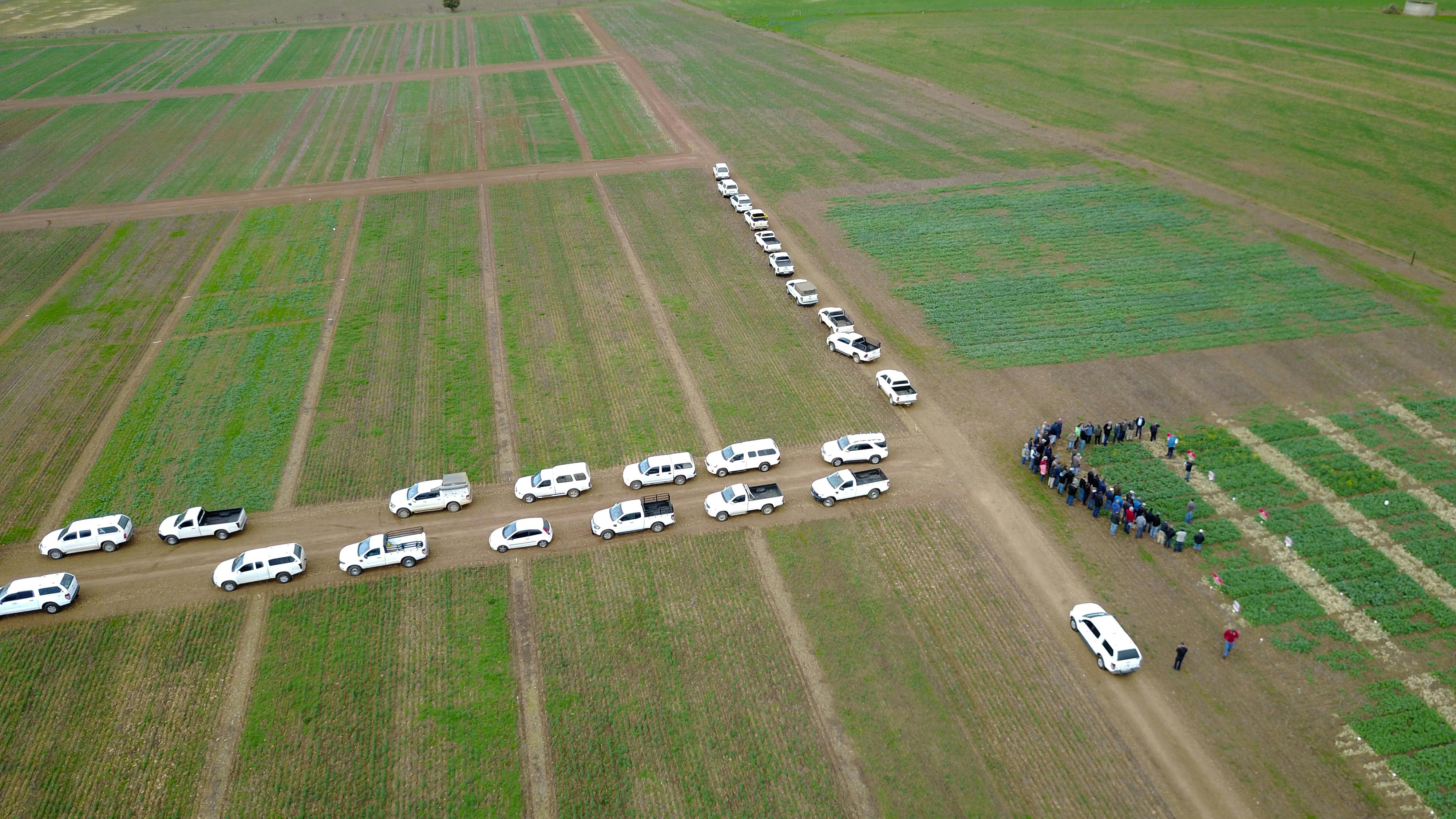 استكشاف بحيرة زيورخ