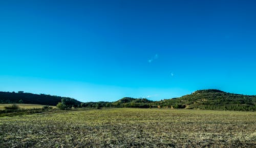 Fotos de stock gratuitas de azul, bonito, campo