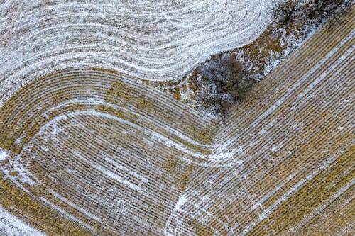 Pirinç Tarlasının Havadan Görünümü Fotoğrafçılığı