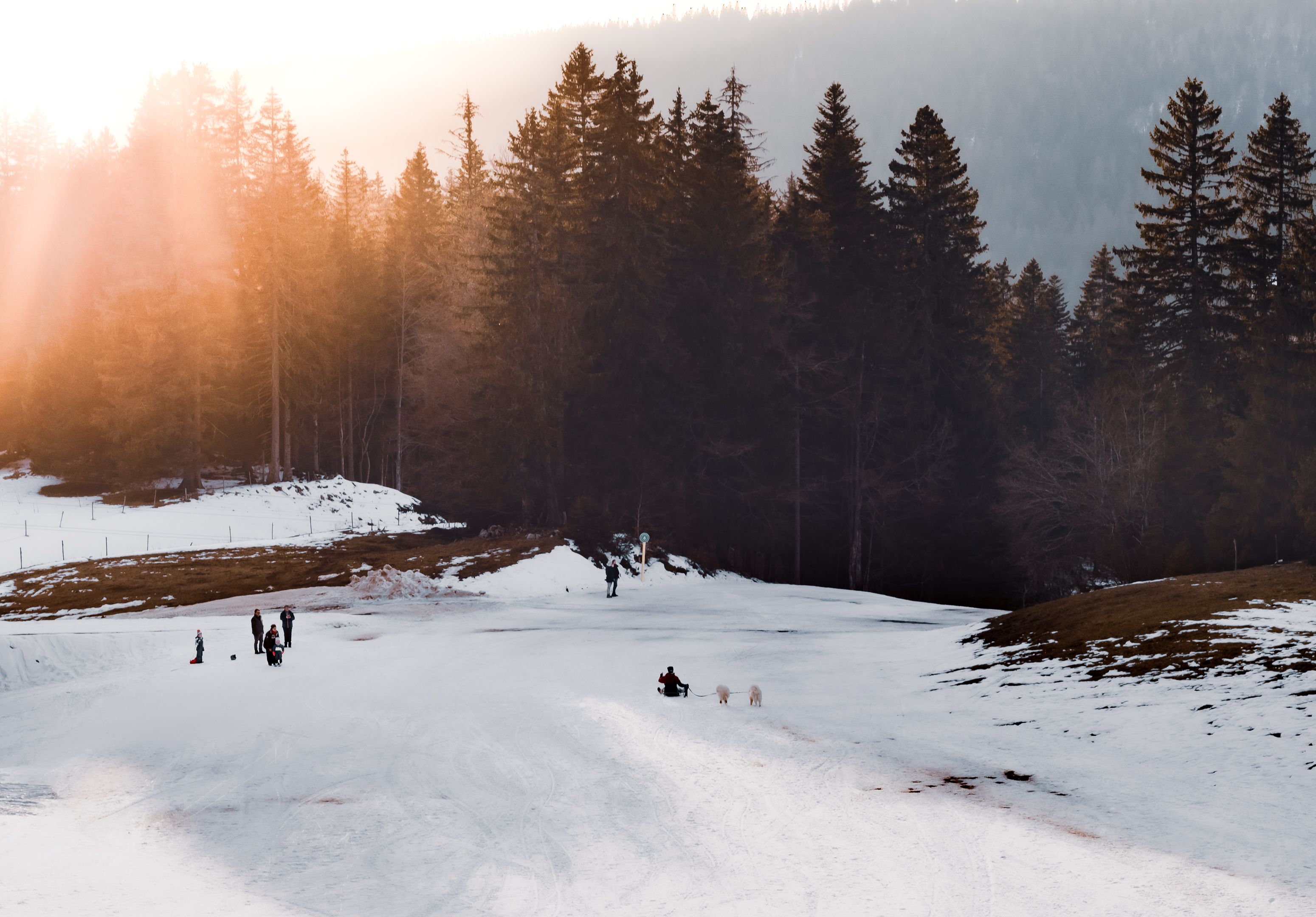 Backform für Weihnachtsplätzchen im Test