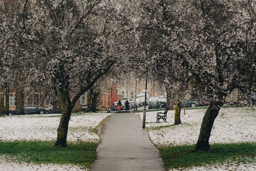 City Park in Snow
