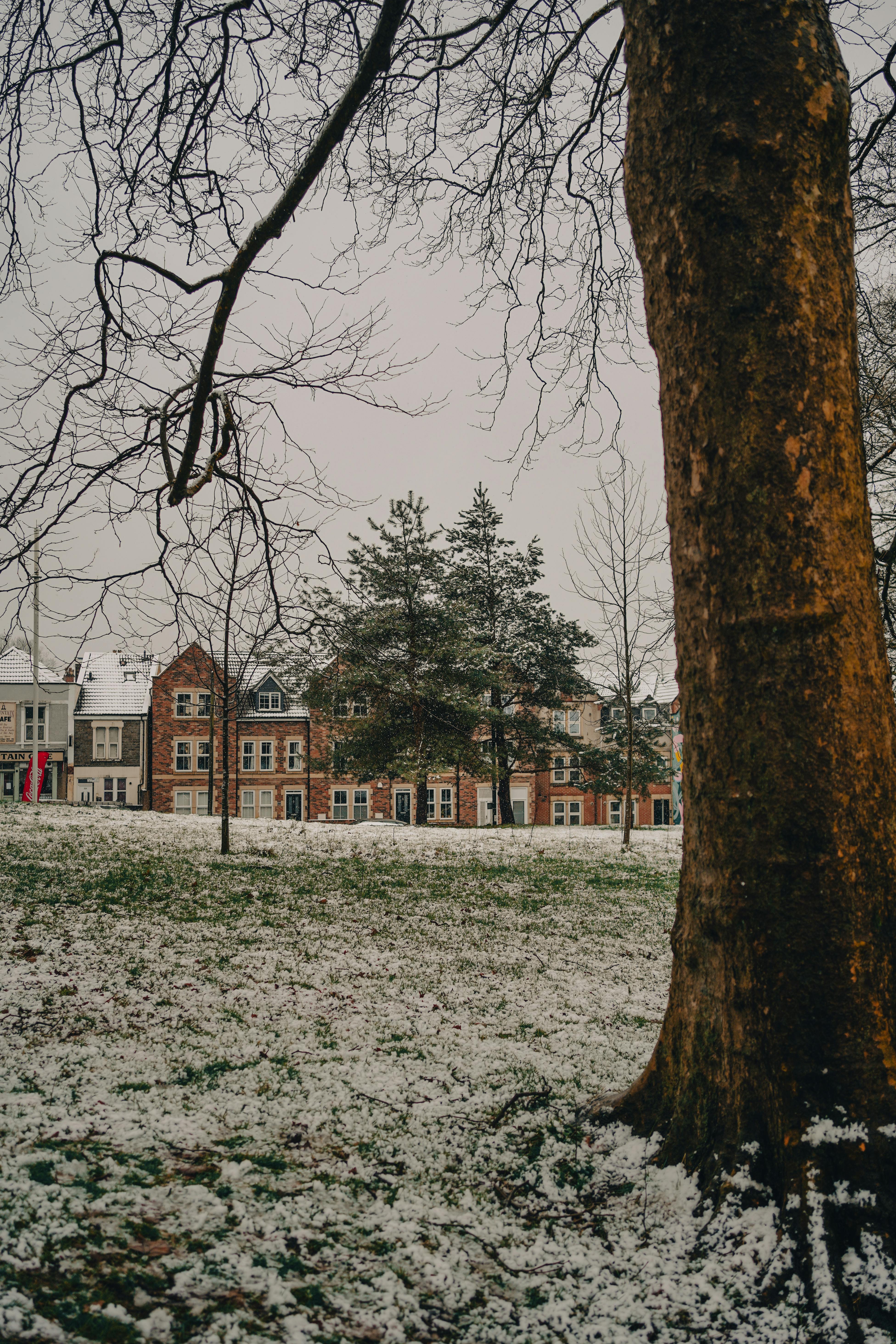 park in snow