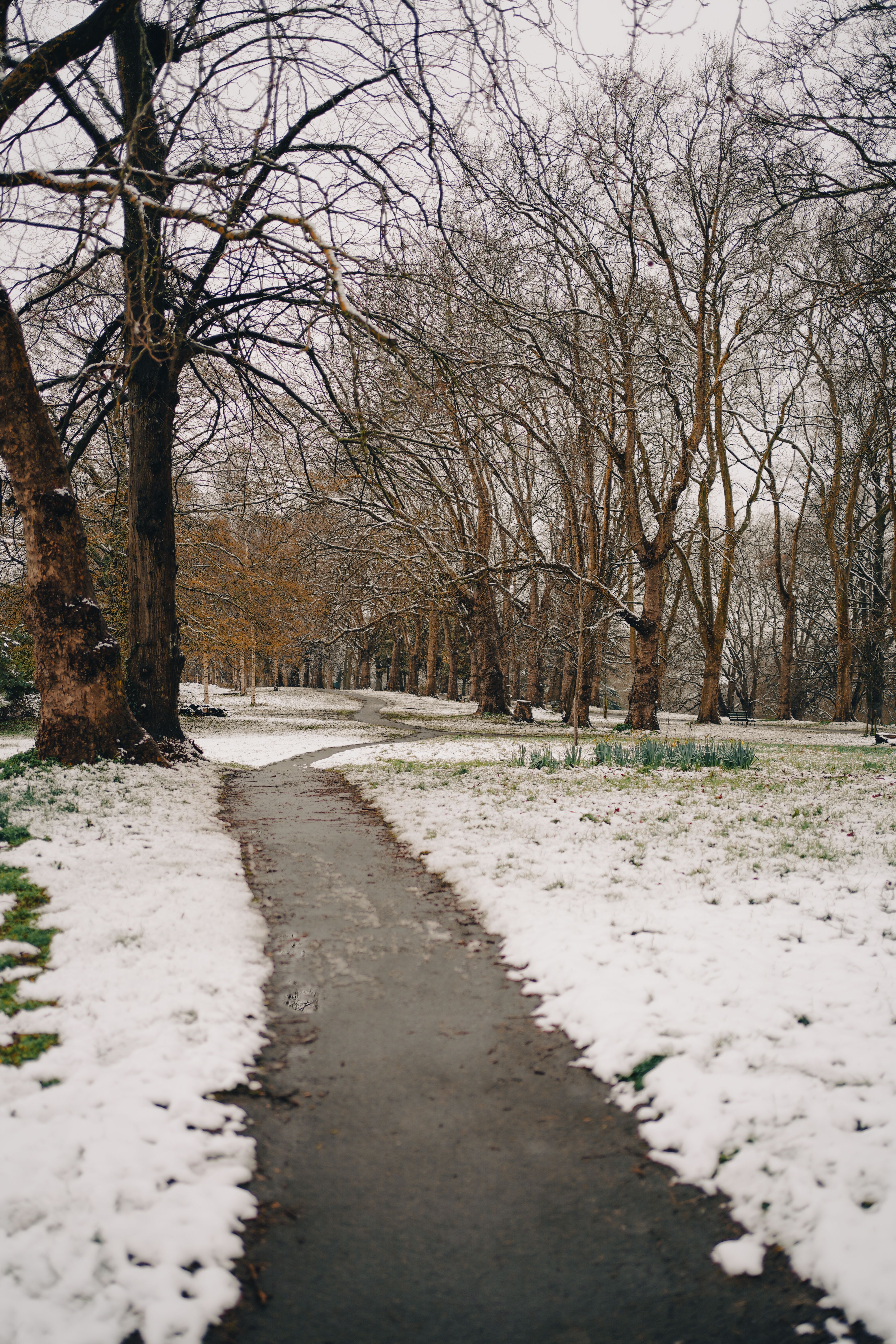 Path in Park in Winter · Free Stock Photo