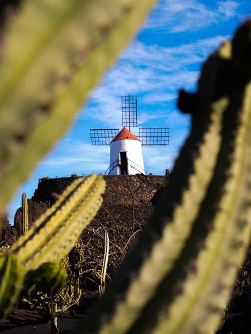 De franc Foto d'estoc gratuïta de a l'aire lliure, agricultura, aïllat Foto d'estoc