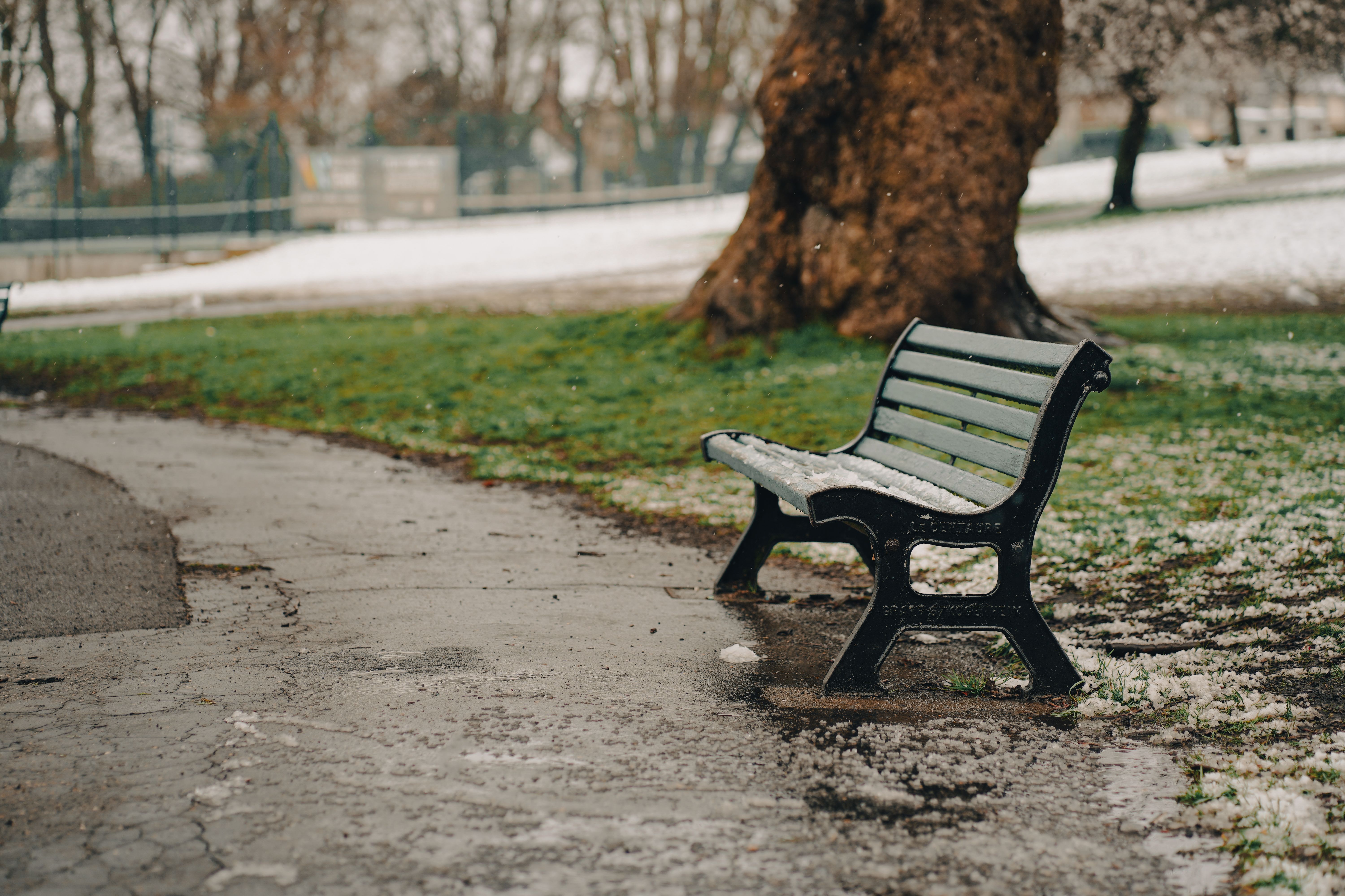 empty park bench with sunlight, peaceful morning scene