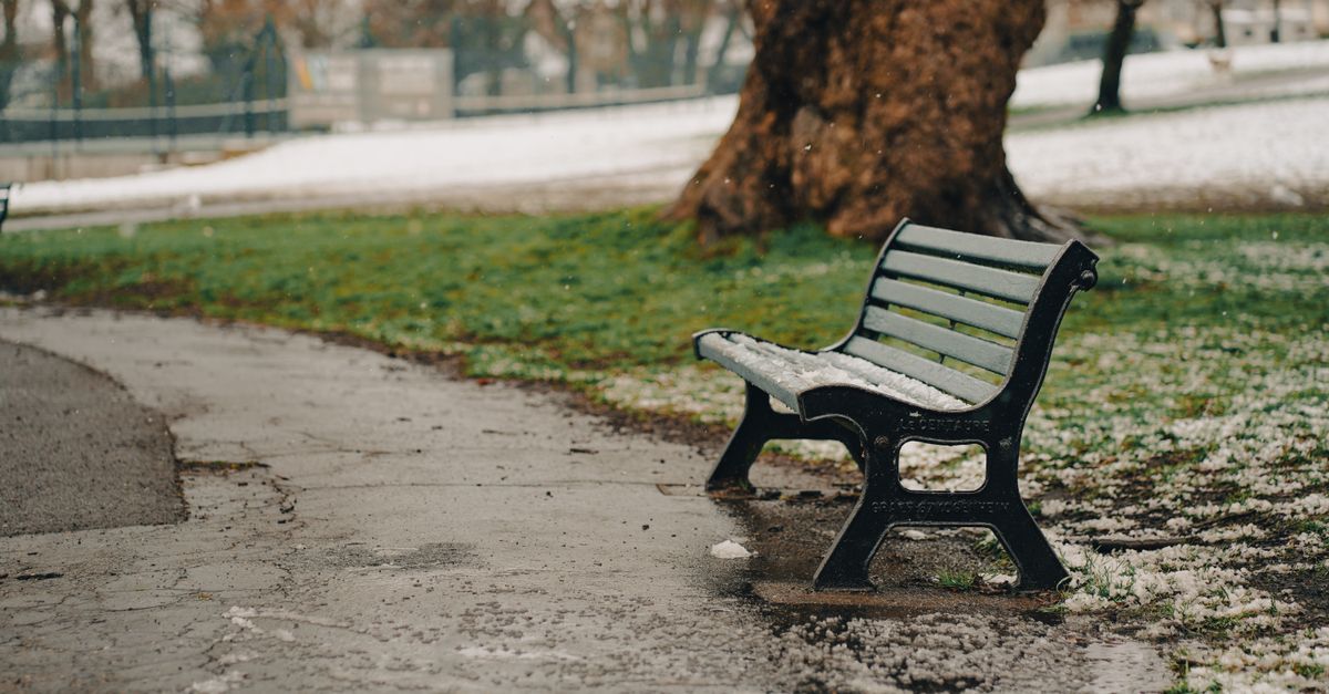 empty park bench with sunlight, peaceful morning scene