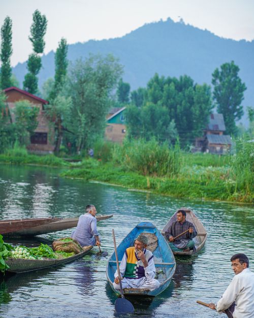 Free A serene scene of men navigating traditional boats on a lush river, transporting fresh produce in summer. Stock Photo