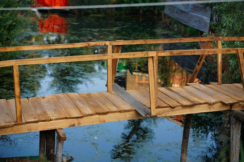 Foto profissional grátis de cais, de madeira, lago