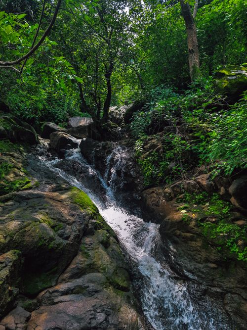 Free Tranquil forest scene with a flowing waterfall surrounded by greenery and rocks. Stock Photo