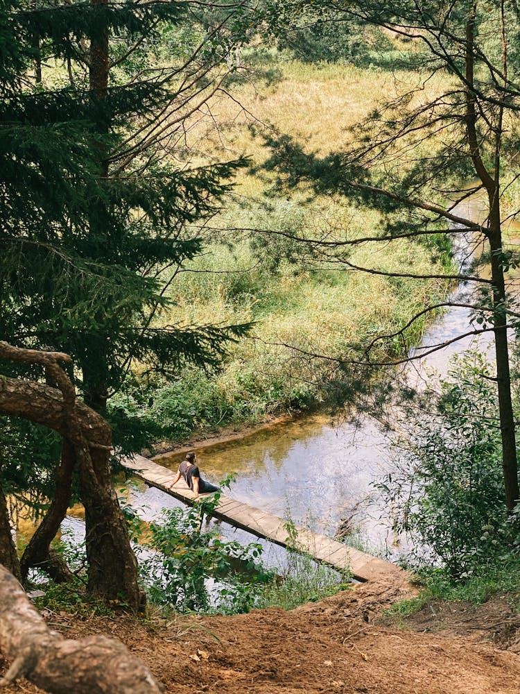 High Angle View Of Green Trees And A Man Sitting On A Wooden Footbridge Over A Stream