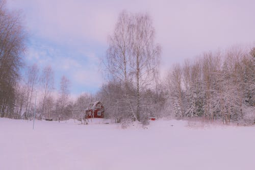 Darmowe zdjęcie z galerii z czerwony dom, drewniany, drzewa