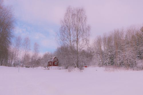 Free Red house amidst snowy trees in Upplands Väsby, Sweden, during winter. Stock Photo