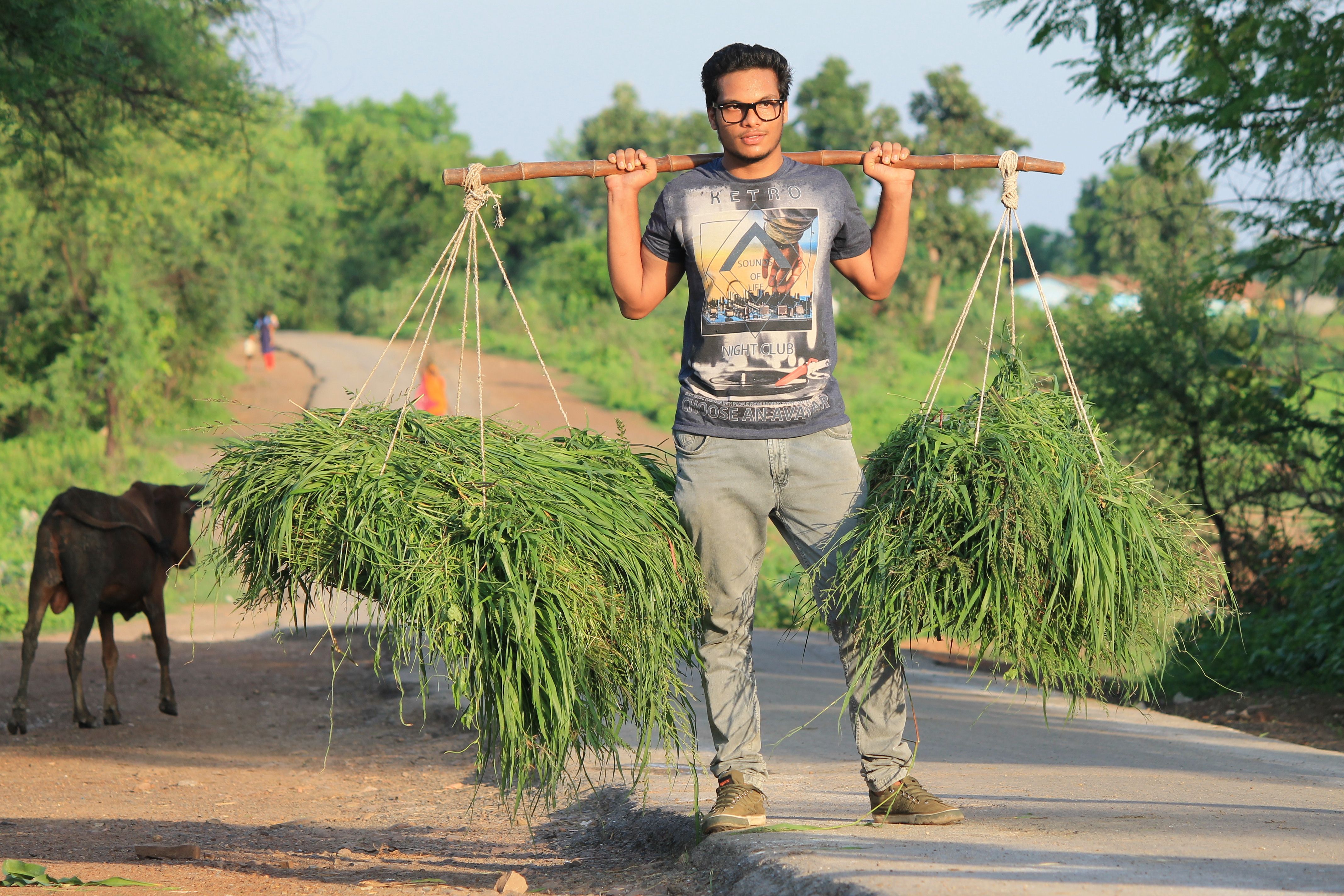 Bhopal nutritionist shares simple lifestyle habits that support your heart, brain, gut, and other vital organs | Health — Pho