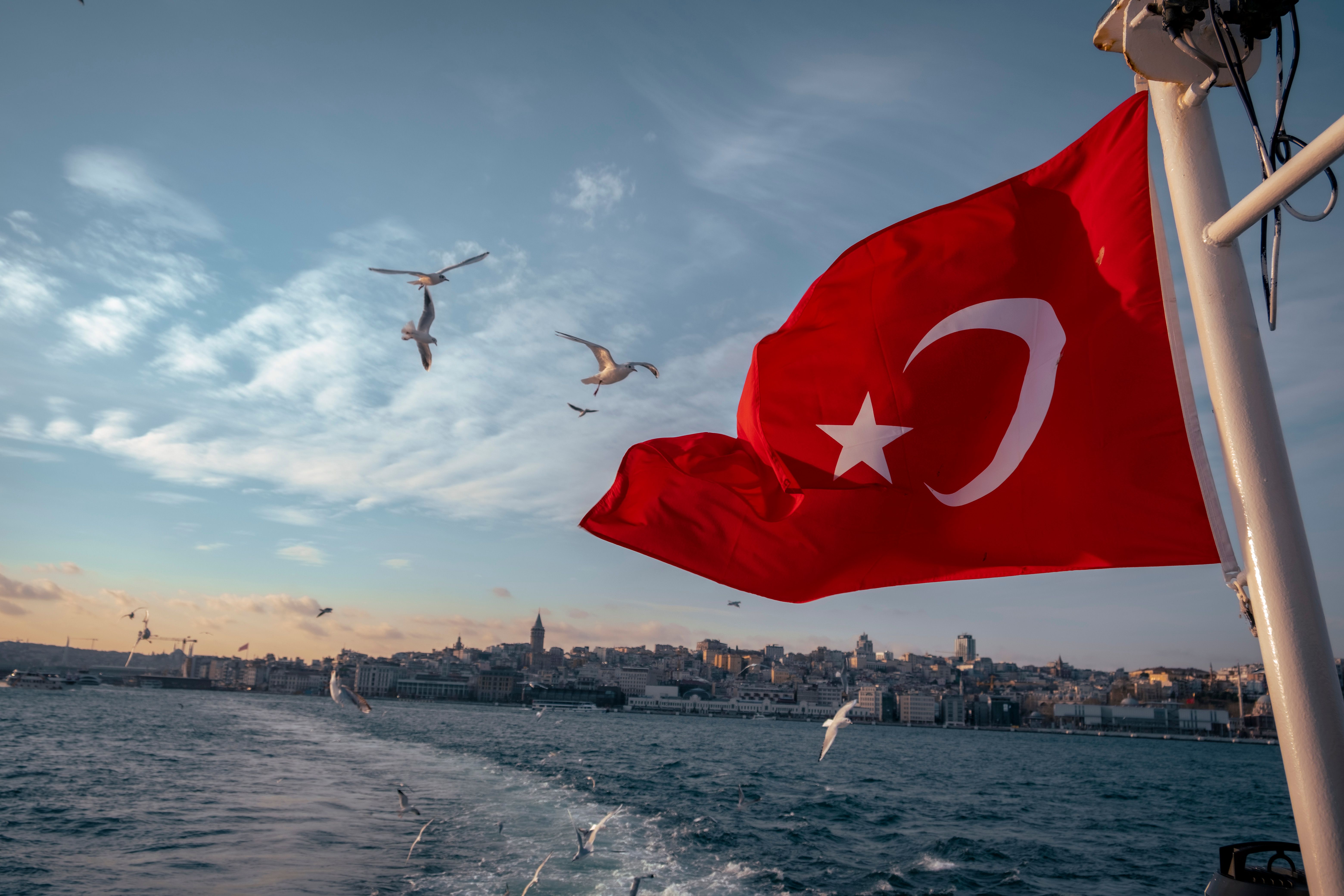 Free Turkish flag flutters above Istanbul's skyline with seagulls flying over the Bosphorus. Stock Photo