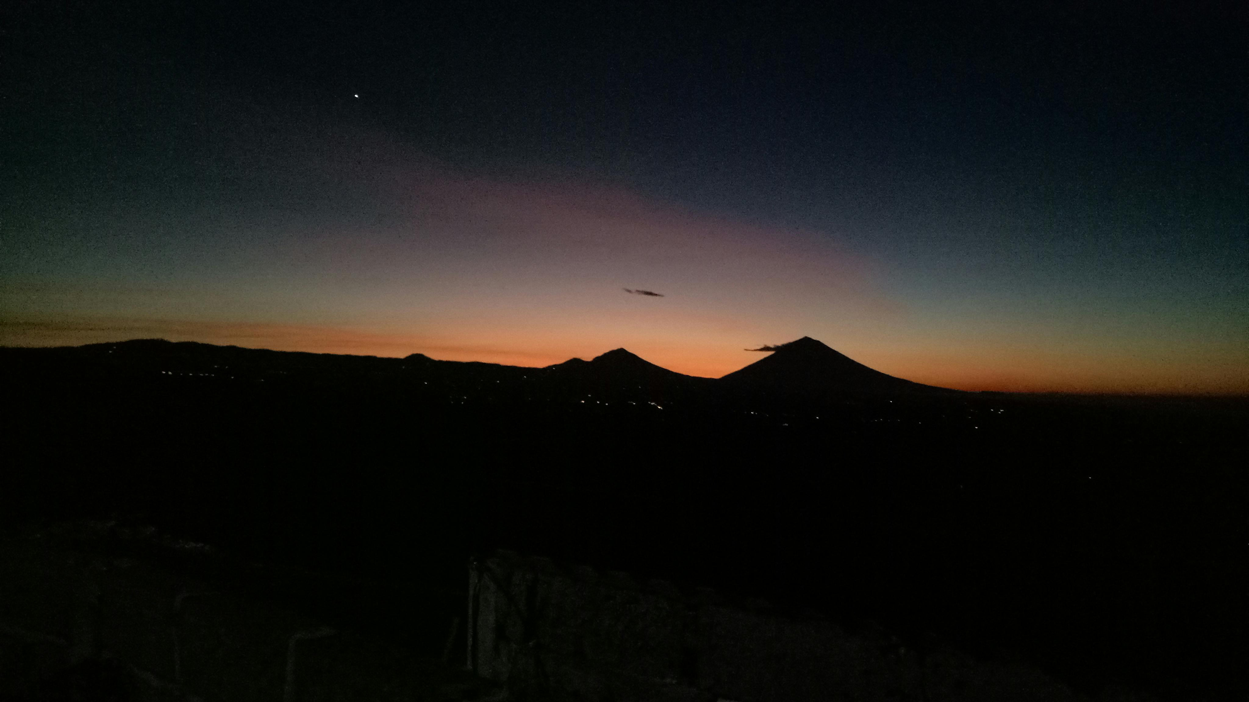 Dogs socializing in a brewery beer garden with owners