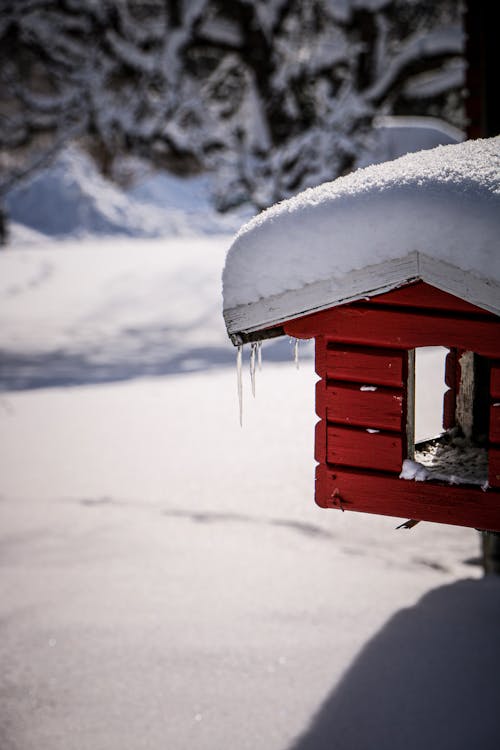 Red Birdhouse in a Snowy Forest