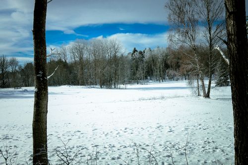 Free A tranquil winter scene in Upplands Väsby, Sweden, showcasing a snow-covered field and bare trees. Stock Photo