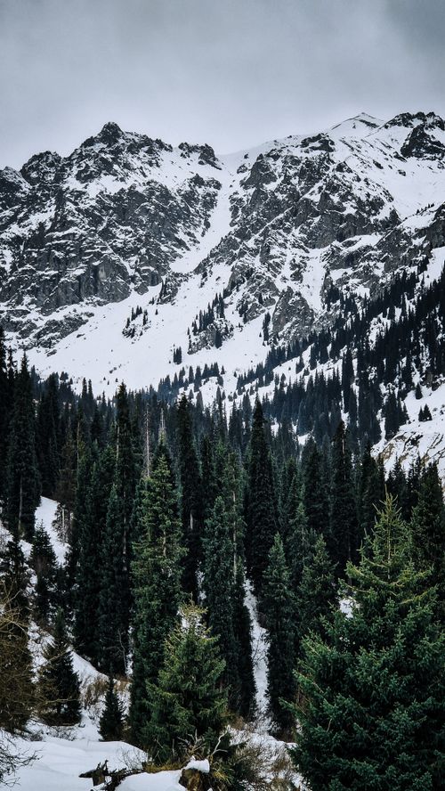 Free A scenic view of snowcapped mountains and dense forest in Almaty Province, Kazakhstan. Stock Photo
