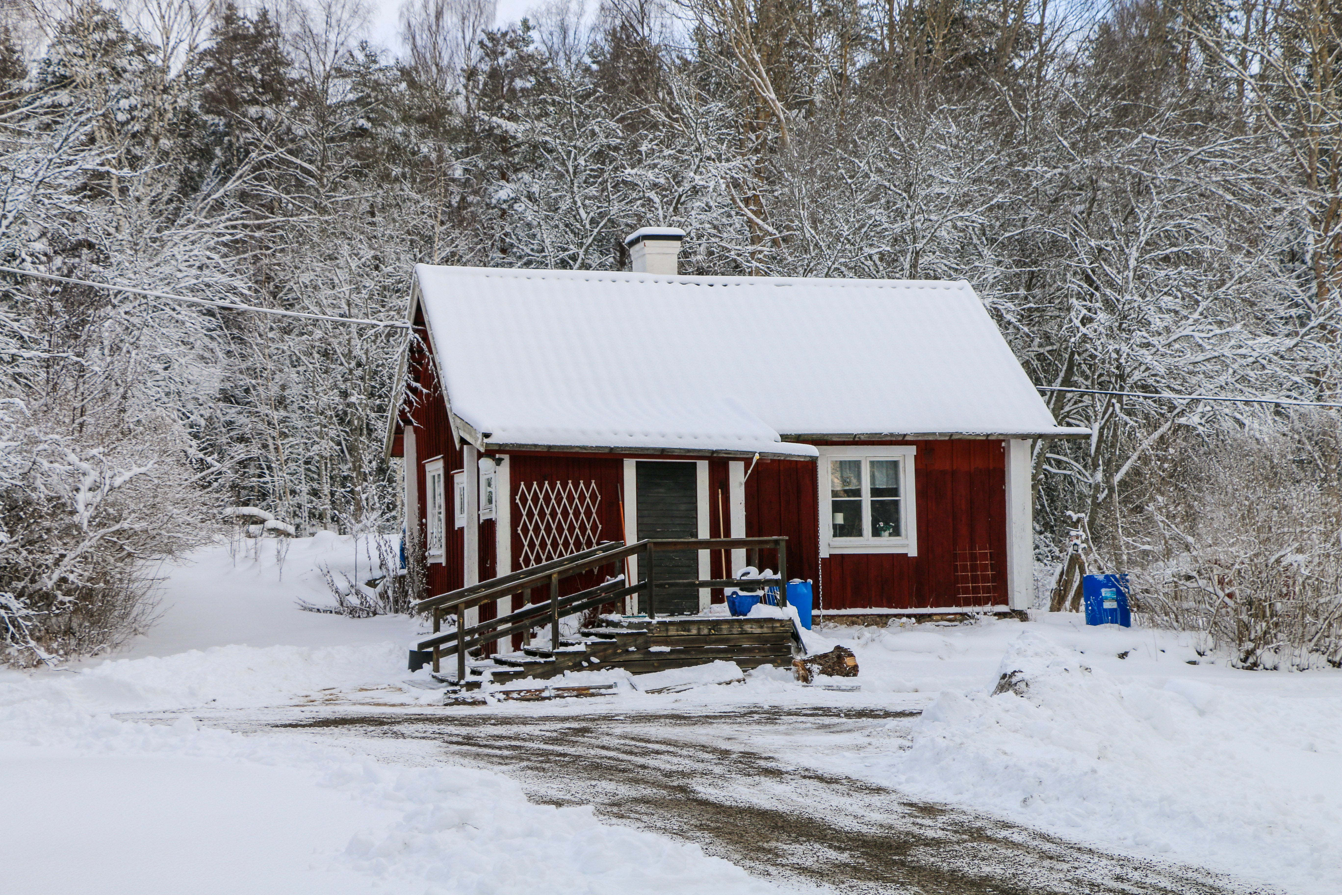 Snowed Wooden Cottage in the Forest · Free Stock Photo