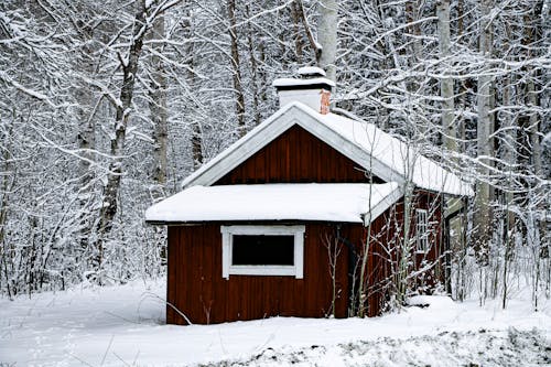 Snowed Forest Cottage