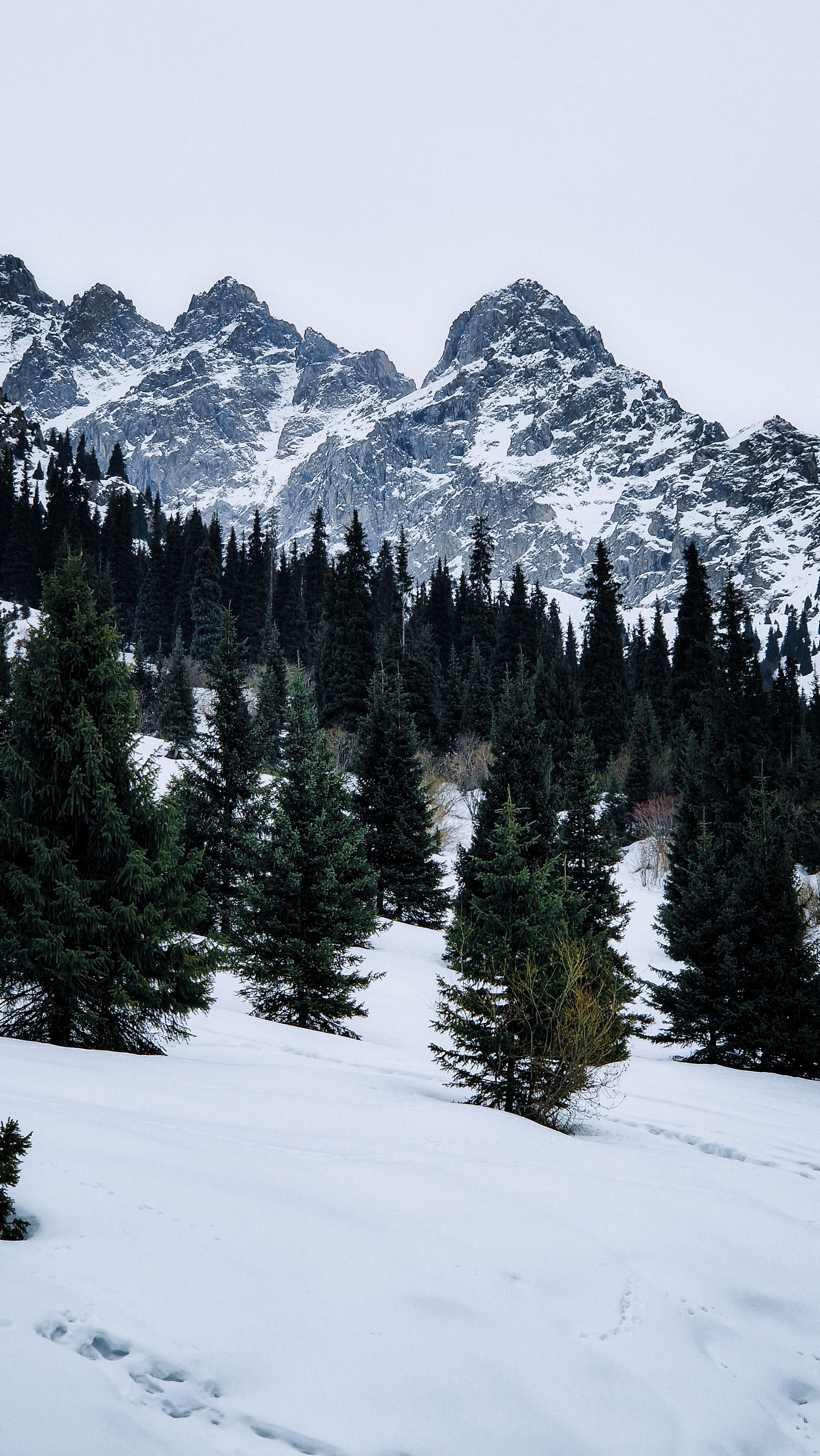 Photo of Mountains Covered with Snow and Surrounded with Trees · Free ...
