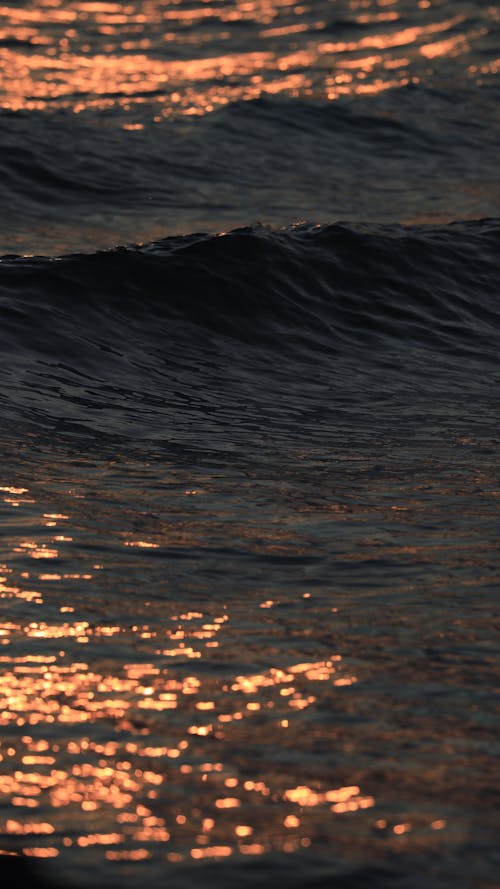 Gratis arkivbilde med bølger, daggry, lett