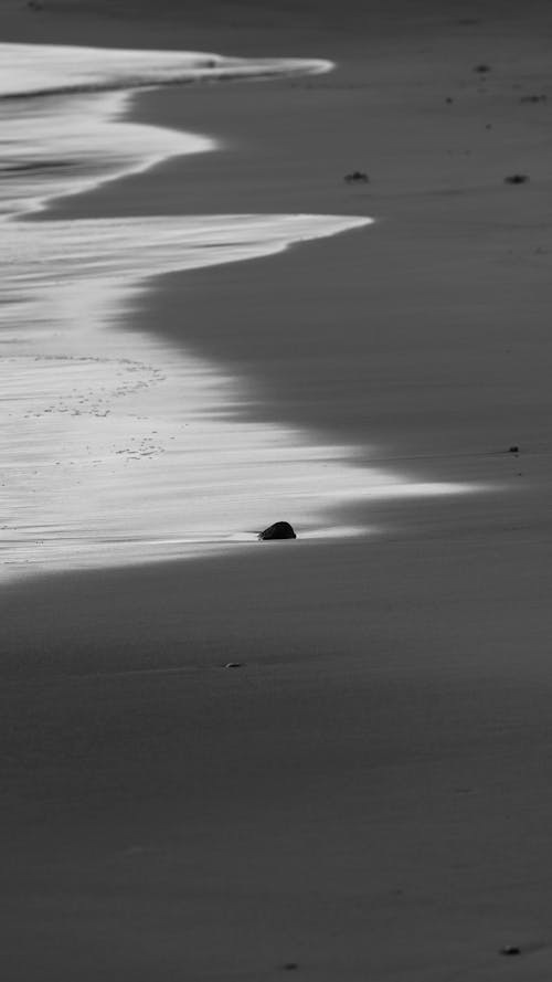Foto profissional grátis de areia, litoral, mar