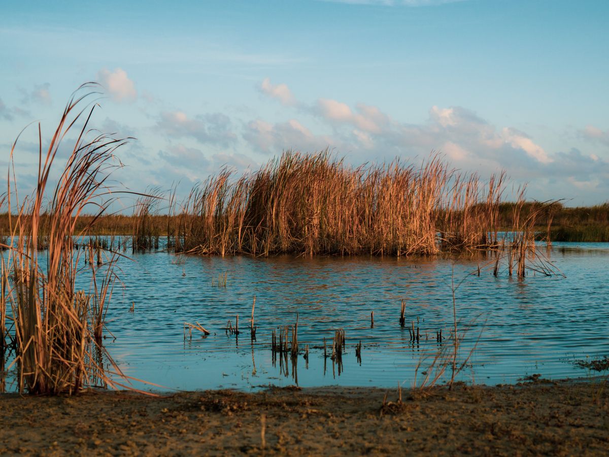 4 Day Grief Retreat: Healing After Loss in New Orleans 1