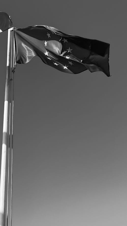 The Flag of European Union in Black and White