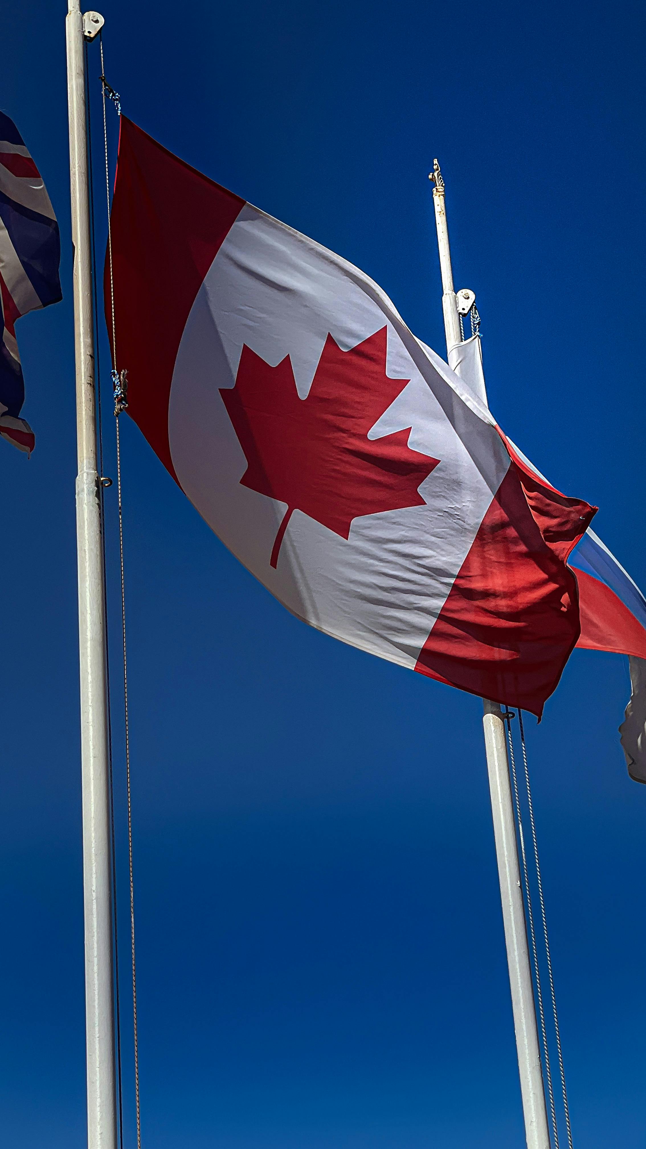 waving canadian flags