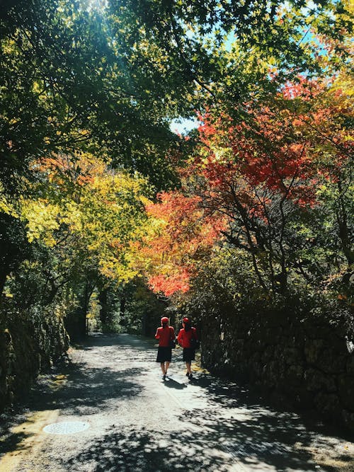 Dwie Kobiety Chodzą Po ścieżce Obok Drzew