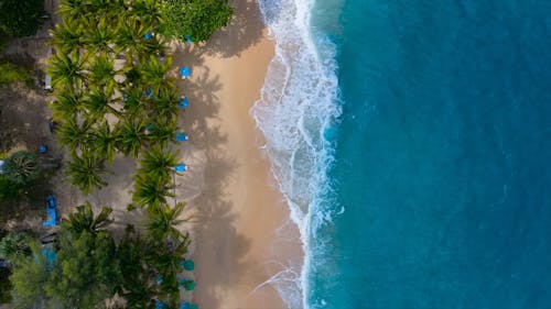 Top View of a Tropical Beach 