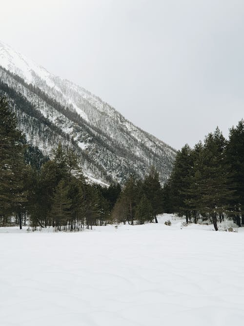 Snowed Mountain Valley