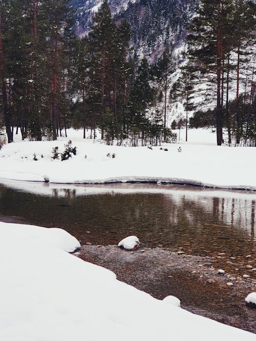 Snow around River