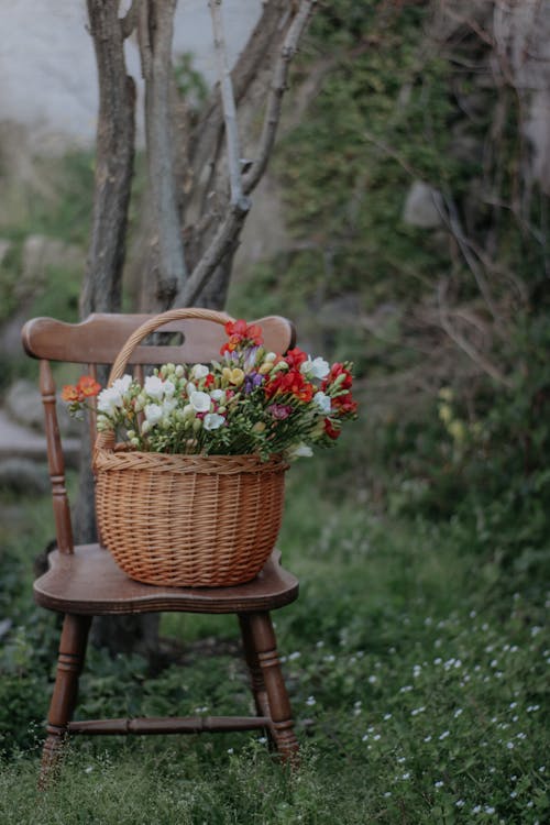 A Basket of Flowers on a Chair 