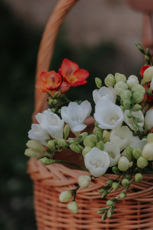 Colorful Flowers in Basket