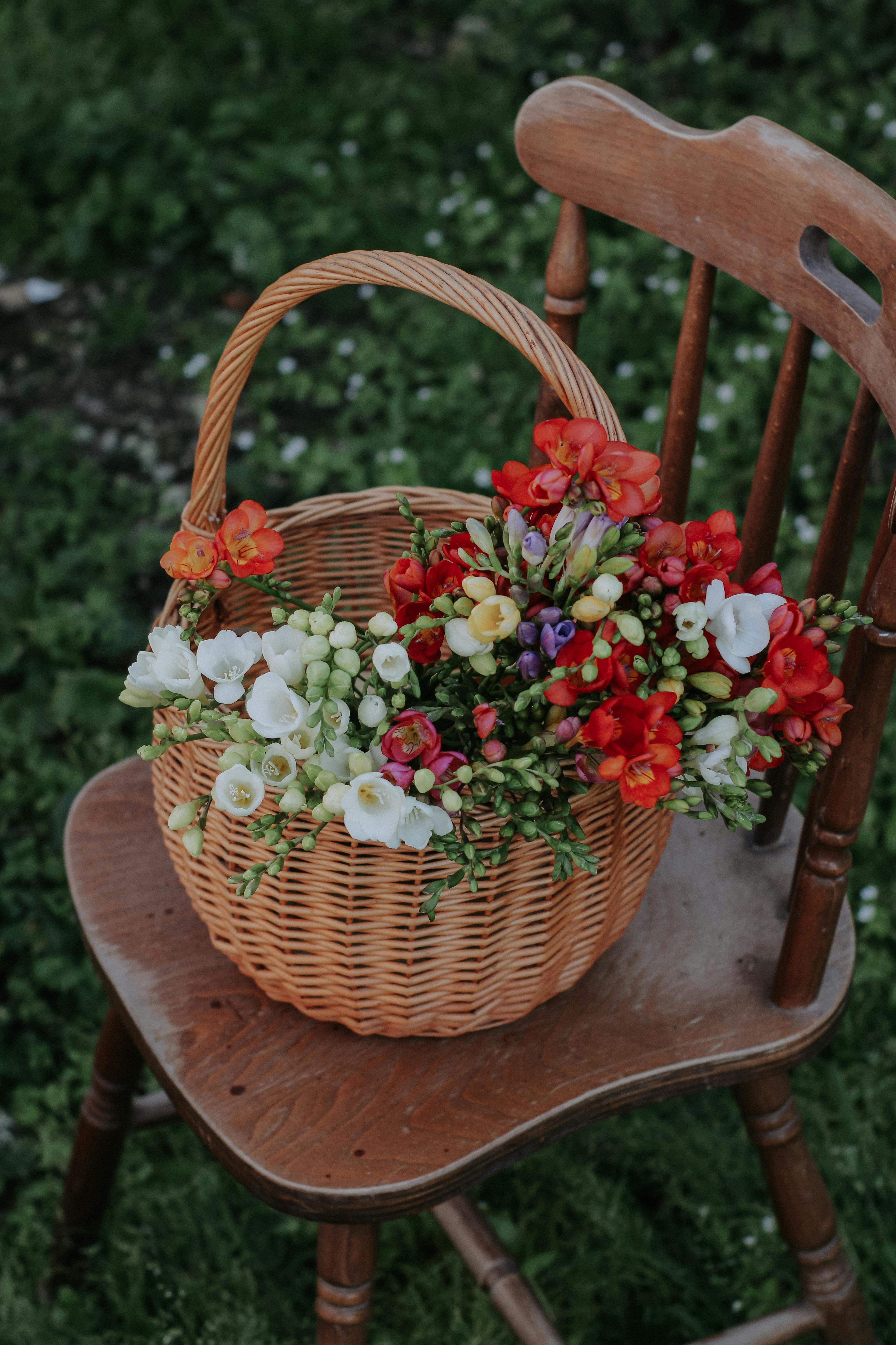 A vibrant wicker basket filled with colorful flowers sits on a rustic wooden chair in a garden.