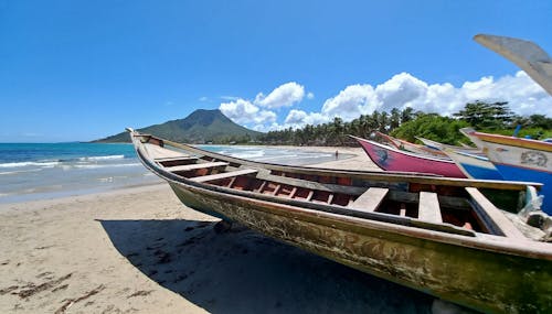 Бесплатное стоковое фото с береговая линия, деревья, лодки