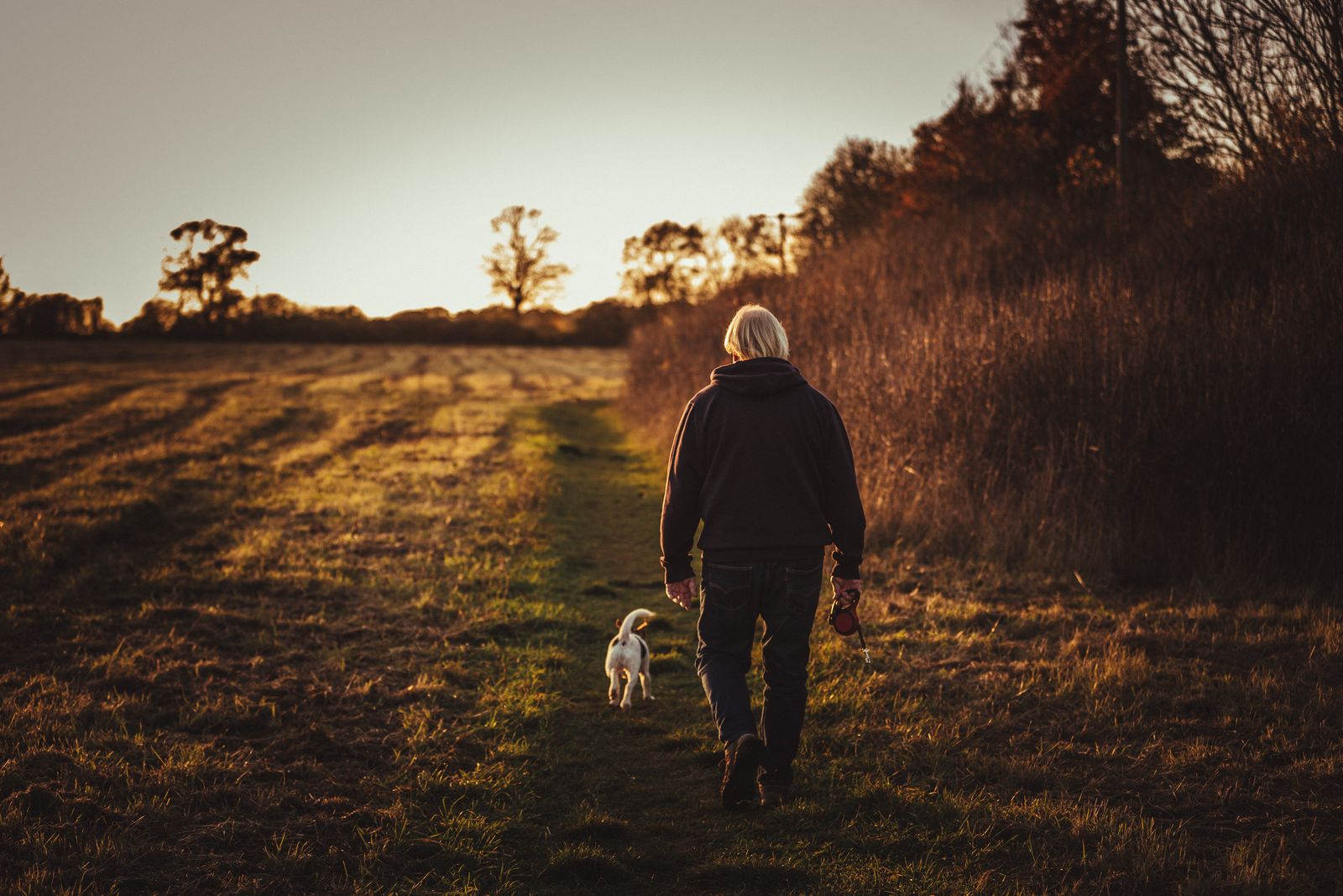 A man walking a small white dog along a field path at sunset