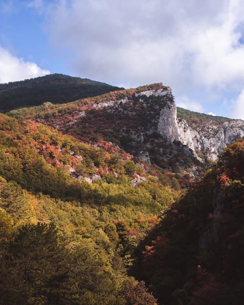 Scenic View of Mountains and Valley 