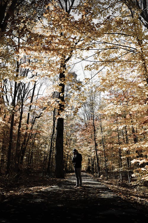 Uomo In Piedi Nella Foresta