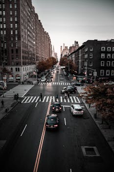 从空中俯瞰繁华的城市街道，两旁排列着秋天的树木和汽车