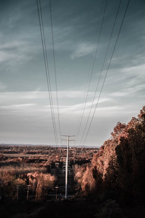 Utility Post In Der Nähe Von Bäumen Unter Bewölktem Himmel