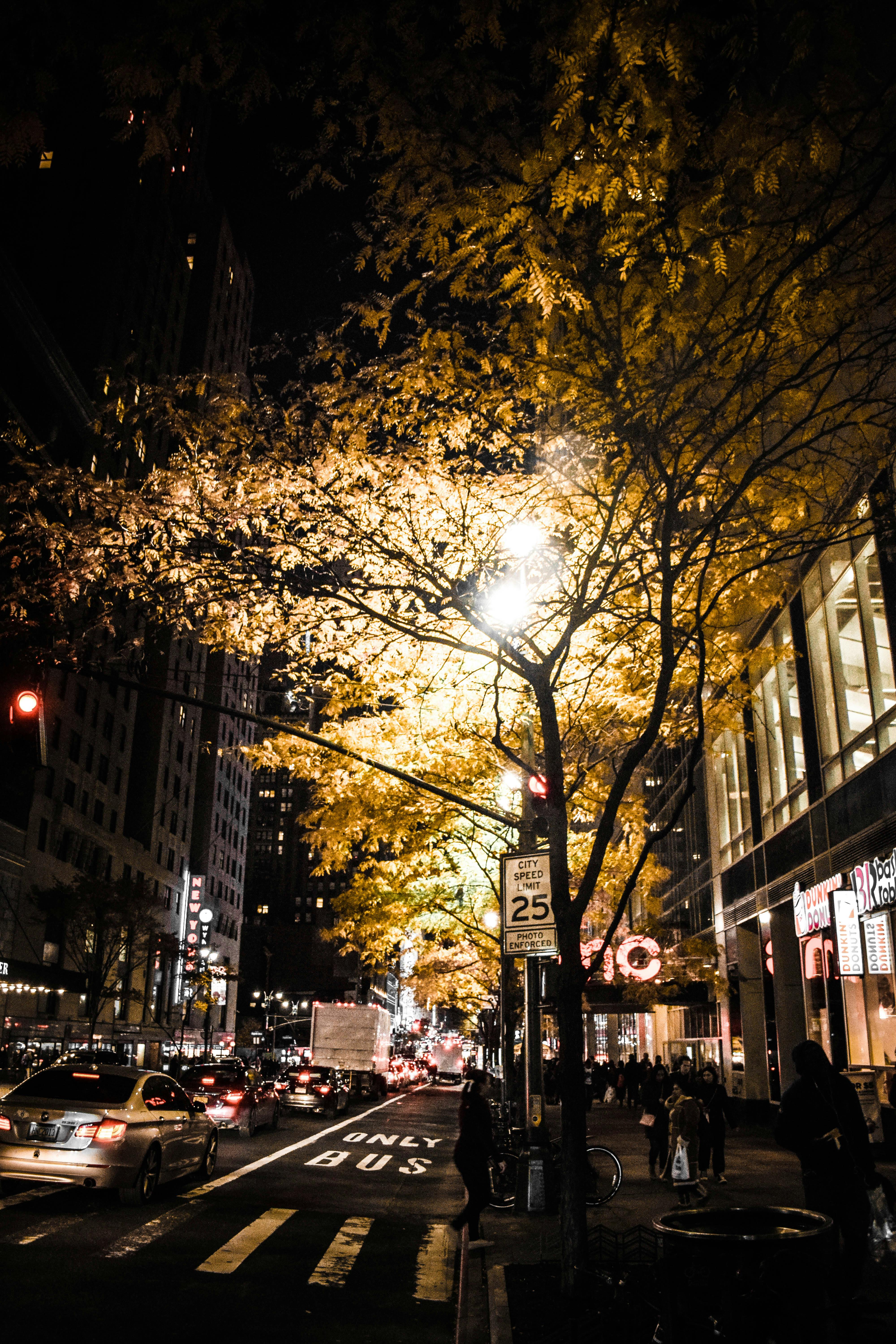 夜晚的城市街道充满活力，树木明亮，交通拥挤，行人熙熙攘攘