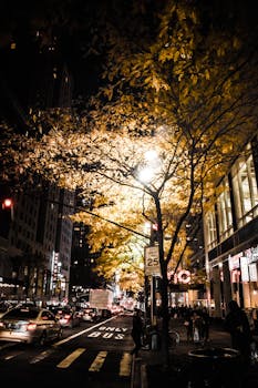 夜晚的城市街道充满活力，树木明亮，交通拥挤，行人熙熙攘攘